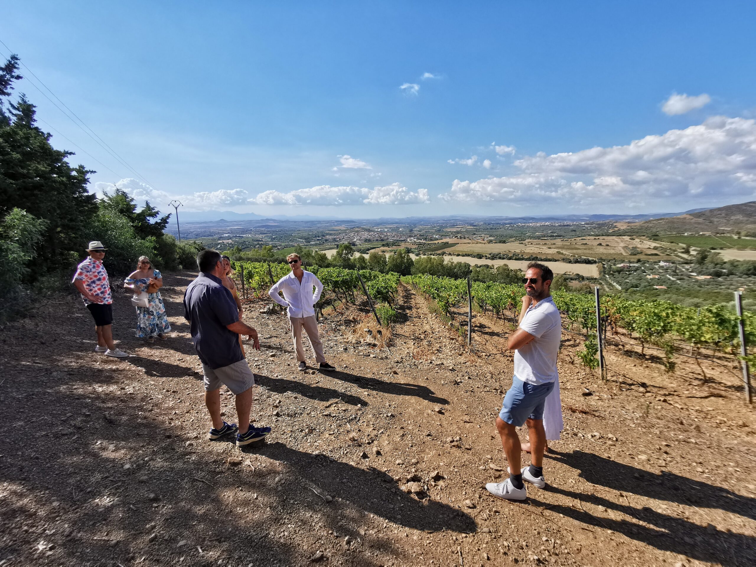 guided tour in a vineyard in sardinia